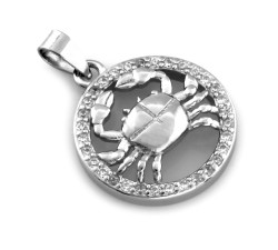 Zawieszka ze srebra 925 z cyrkoniami znaki zodiaku