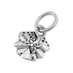 Srebrna zawieszka z cyrkoniami z emalią 