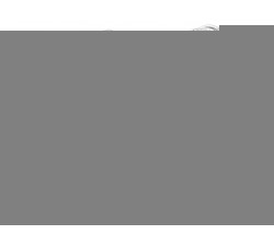 Kolczyki srebrne liść z cyrkoniami