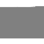 Kolczyki srebrne liść z cyrkoniami