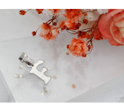 Zawieszka srebrna z literką F